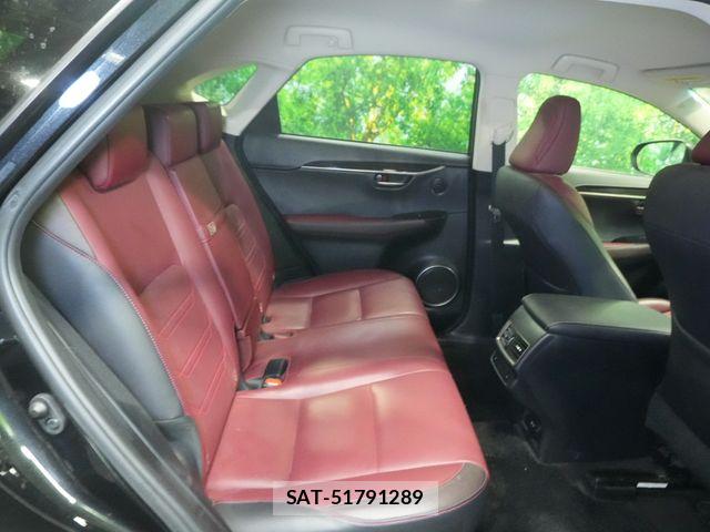 Lexus NX 2018-06 8208409-27