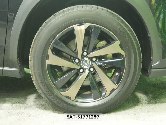 Lexus NX 2018-06 8208409-29