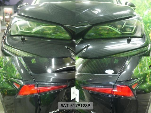 Lexus NX 2018-06 8208409-3
