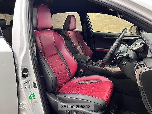 Lexus NX 2018-10 8245734-10