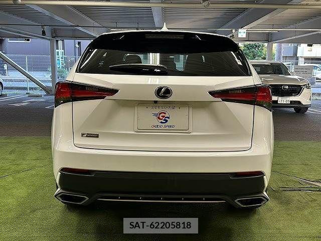 Lexus NX 2018-10 8245734-15