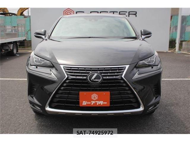 Lexus NX 2020-12 8245736-10