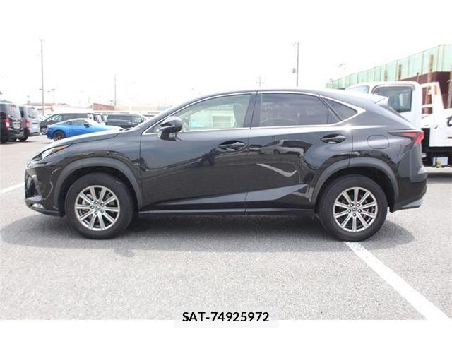 Lexus NX 2020-12 8245736-12