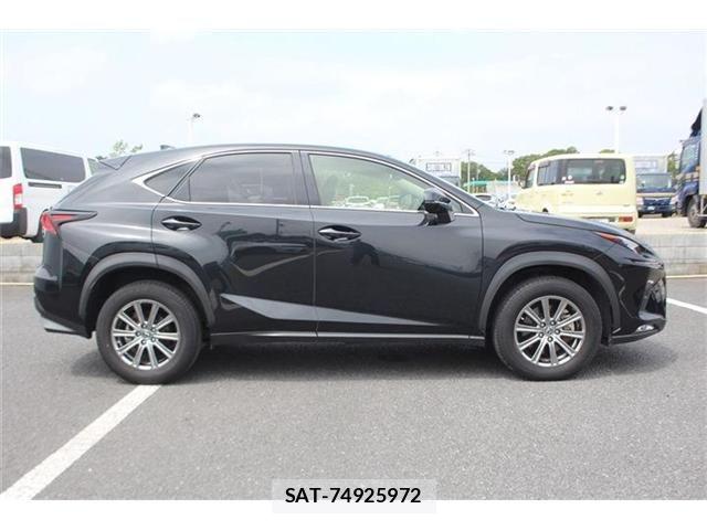 Lexus NX 2020-12 8245736-16