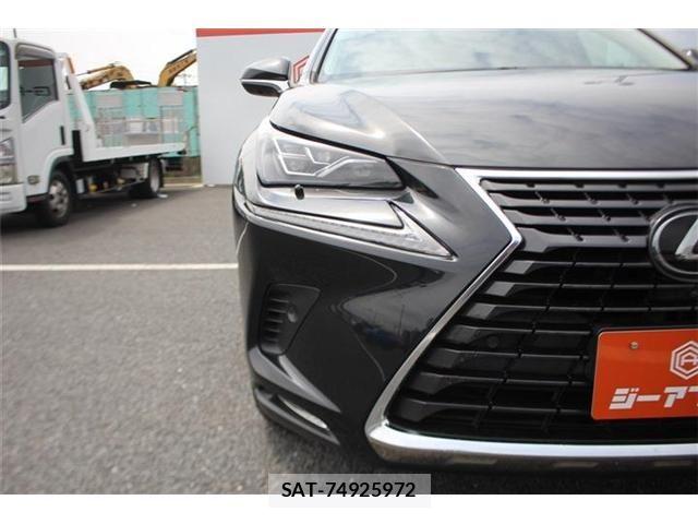 Lexus NX 2020-12 8245736-23