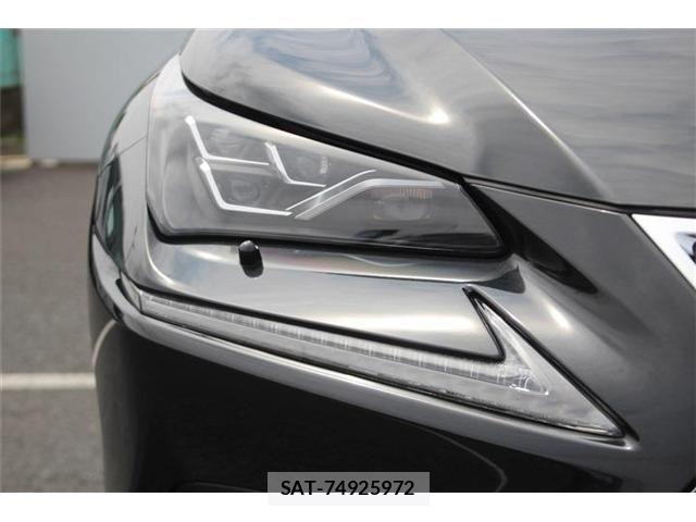 Lexus NX 2020-12 8245736-24
