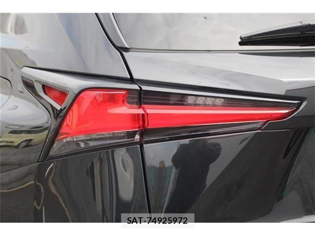Lexus NX 2020-12 8245736-27