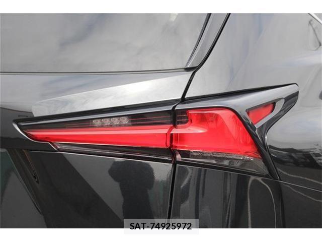 Lexus NX 2020-12 8245736-28