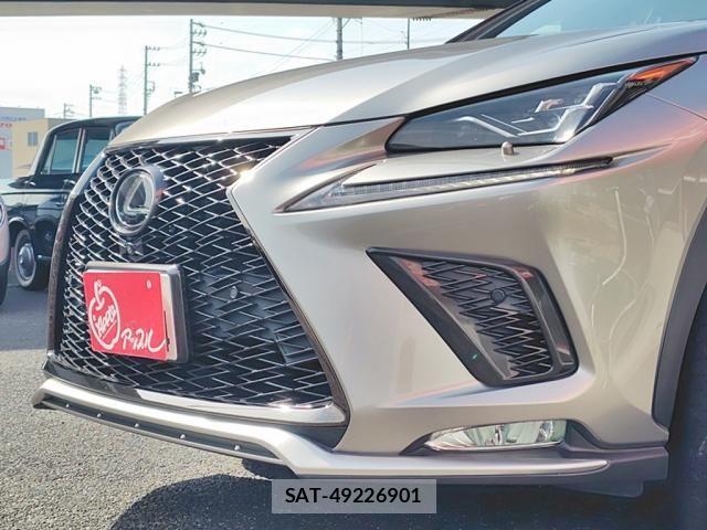 Lexus NX 2018-03 8315196-9
