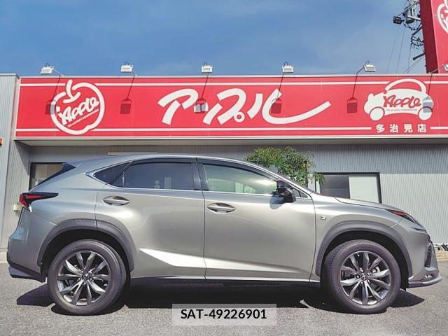 Lexus NX 2018-03 8315196-10