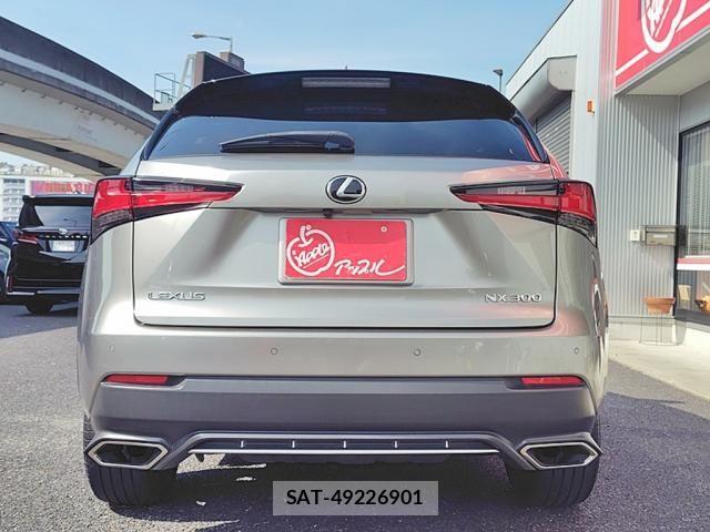 Lexus NX 2018-03 8315196-12