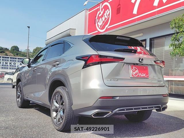 Lexus NX 2018-03 8315196-13