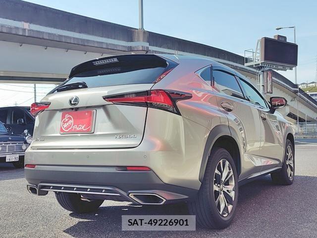 Lexus NX 2018-03 8315196-14