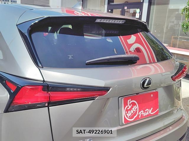 Lexus NX 2018-03 8315196-15