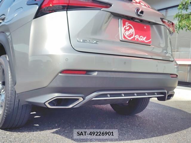 Lexus NX 2018-03 8315196-16