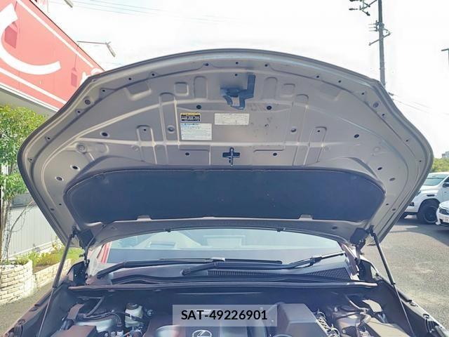 Lexus NX 2018-03 8315196-28