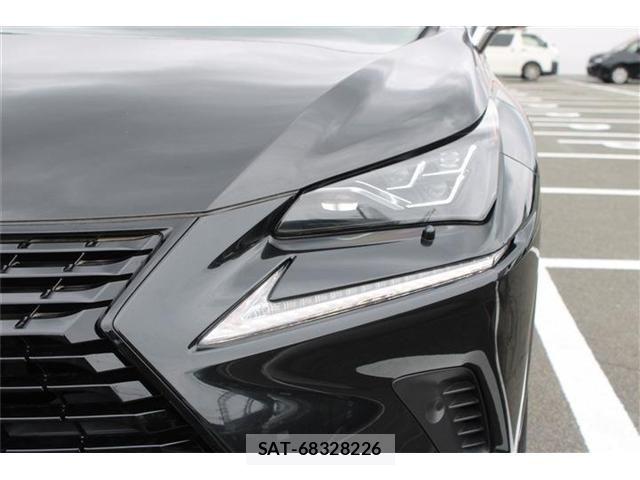 Lexus NX 2019-01 8334499-15
