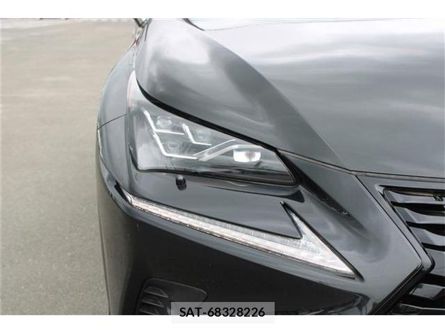 Lexus NX 2019-01 8334499-17
