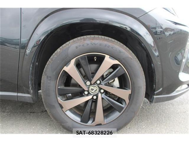 Lexus NX 2019-01 8334499-19