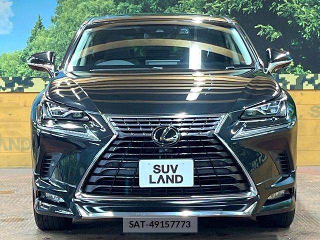 Lexus NX 2018-04 8336575-13