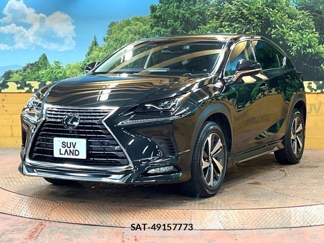Lexus NX 2018-04 8336575-15