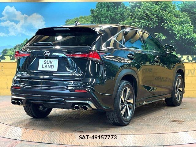 Lexus NX 2018-04 8336575-16