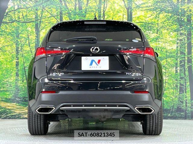 Lexus NX 2018-01 8336576-14