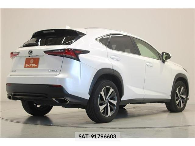 Lexus NX 2020-05 8366756-11