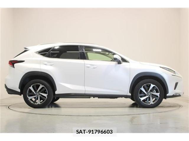 Lexus NX 2020-05 8366756-12