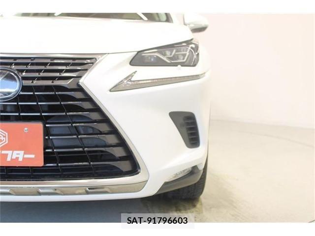 Lexus NX 2020-05 8366756-13