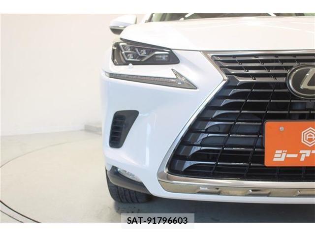 Lexus NX 2020-05 8366756-15