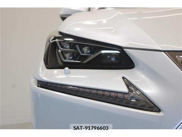 Lexus NX 2020-05 8366756-16