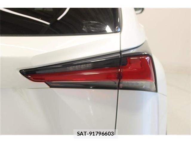 Lexus NX 2020-05 8366756-17