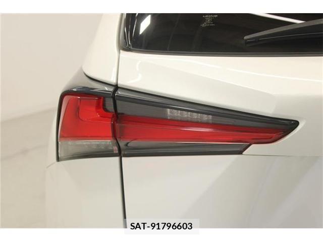 Lexus NX 2020-05 8366756-18