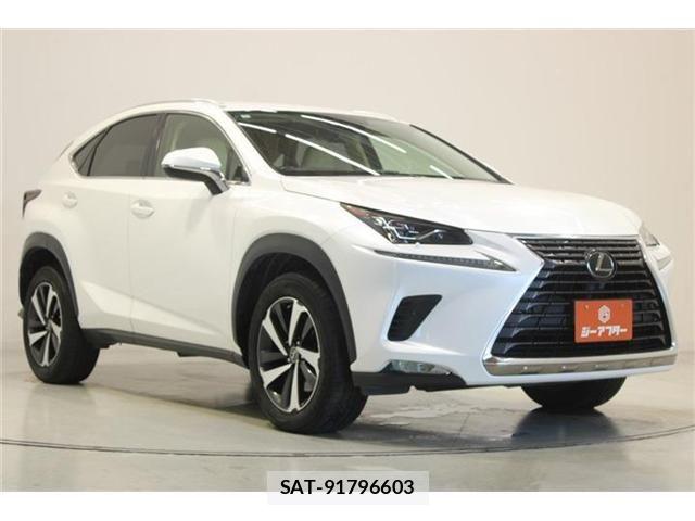 Lexus NX 2020-05 8366756-5