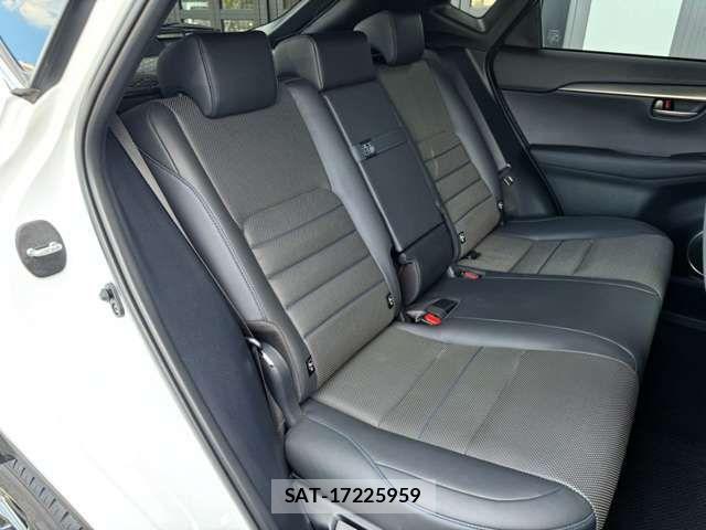 Lexus NX 2020-11 8366752-14