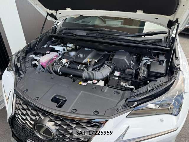 Lexus NX 2020-11 8366752-15