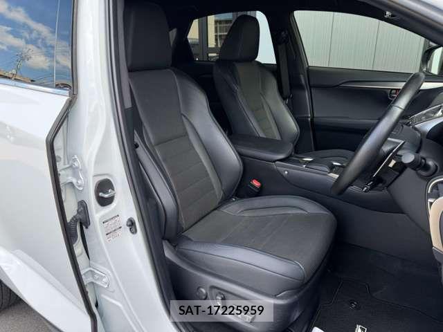 Lexus NX 2020-11 8366752-4