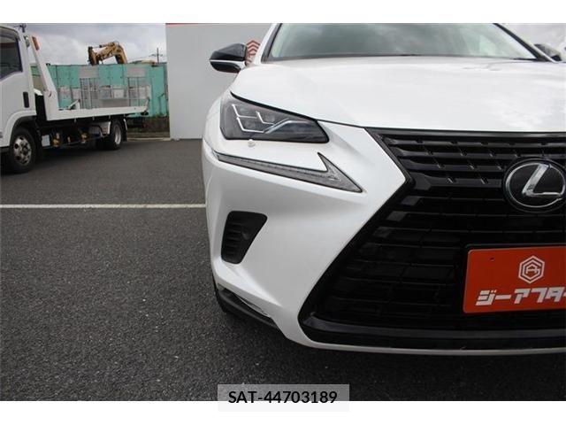Lexus NX 2019-03 8413295-12