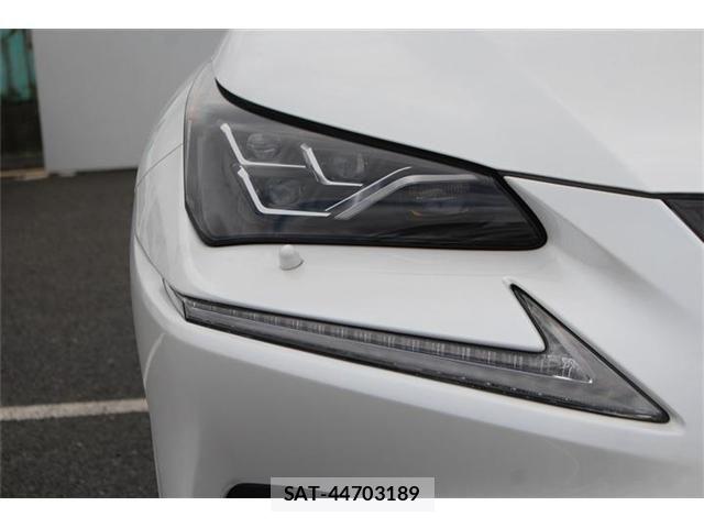 Lexus NX 2019-03 8413295-13