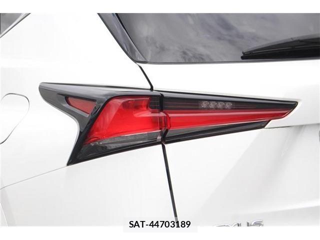 Lexus NX 2019-03 8413295-14
