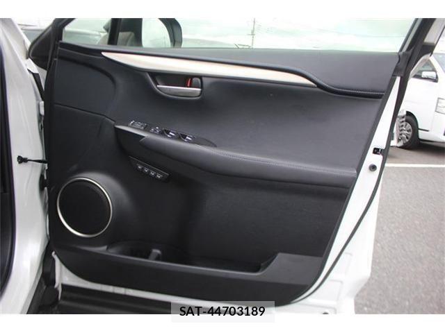 Lexus NX 2019-03 8413295-17