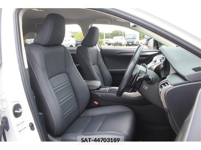 Lexus NX 2019-03 8413295-18