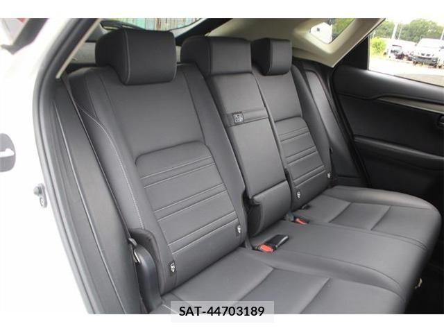 Lexus NX 2019-03 8413295-19