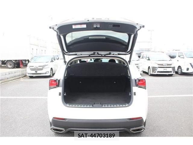 Lexus NX 2019-03 8413295-28