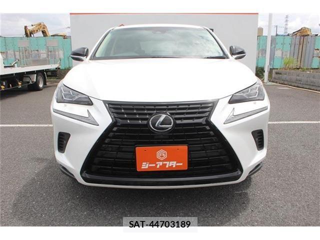 Lexus NX 2019-03 8413295-5