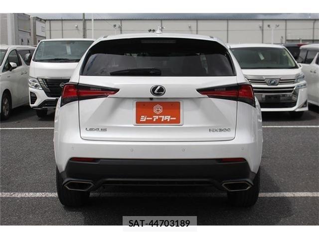 Lexus NX 2019-03 8413295-7