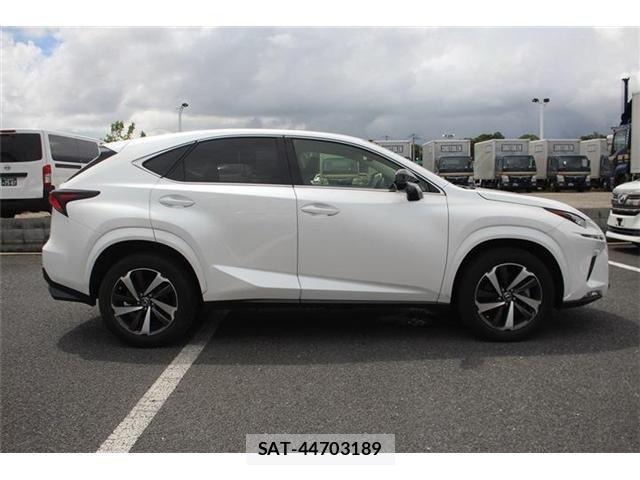 Lexus NX 2019-03 8413295-8