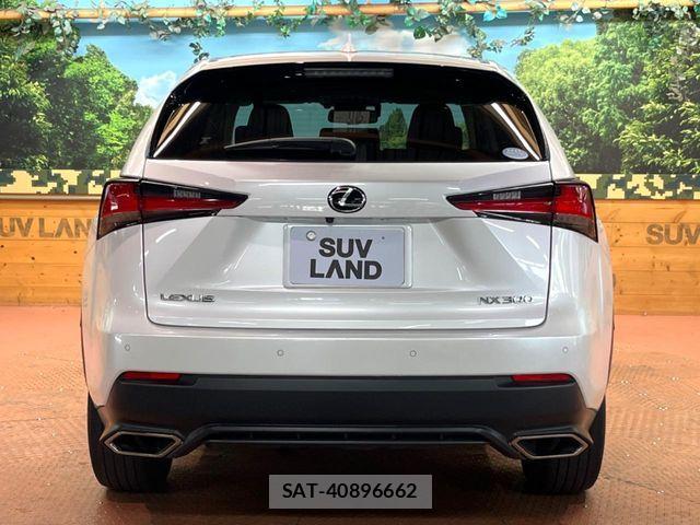 Lexus NX 2018-05 8438356-16