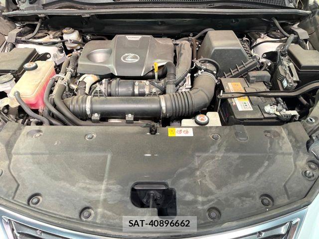 Lexus NX 2018-05 8438356-17